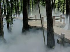 -东湖落雁景区