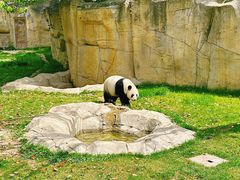 -上海野生动物园