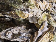 -宾朋海鲜特色美食餐厅·纯手工鲅鱼水饺(兴海路店)