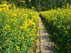 -贵阳市花溪国家城市湿地公园
