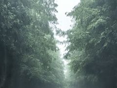 -山王坪喀斯特国家生态公园