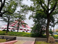 -上海野生动物园