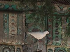 -隆兴寺