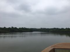 -东寨港红树林旅游区