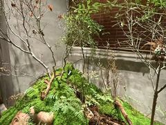 -森SPA·泰式按摩·精油Massage(宝安中心店)