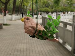 -渭滨公园