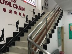 -创凡宠物医院·骨专科  猫科中心(西乡分院)