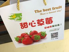 -甜心庄园·甜心草莓采摘园(西青中北店)