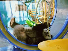 -鄂尔多斯野生动物园