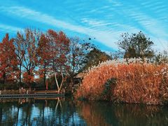 -西溪国家湿地公园