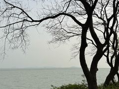 -贡湖湾湿地公园