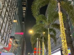 -Big Bus Tours 敞篷观光巴士