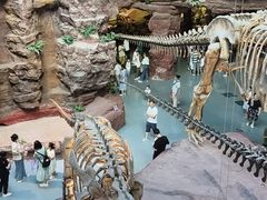 -安徽省地质博物馆