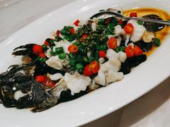 青花椒苏鼠斑-隆聚·时令海鲜(洪兴店)