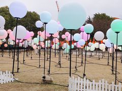 -锦江乐园舞狸花花游园会(夜场专享)