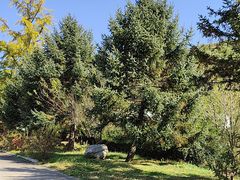 -丹东市五龙山风景区