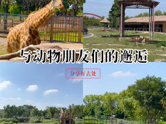 -保定市动物园