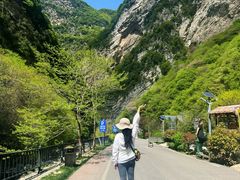 -少华山国家森林公园