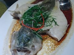 清蒸鲈鱼-松雅轩(大源店)