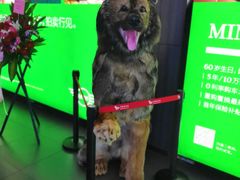 -卢米埃影城(住总万科杜比全景声激光店)