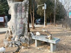 -四门塔风景区
