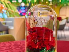-香港会议展览中心演讲厅