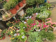 -双季花艺园艺市场(浦东店)