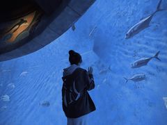 -哈尔滨波塞冬海底世界
