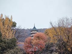 -灵谷景区