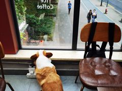 -Home Cafe