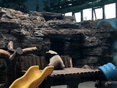 -石家庄市动物园