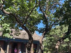 -内蒙古将军衙署博物院