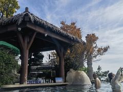 -七彩云南古滇温泉山庄