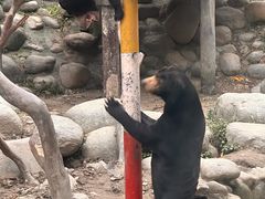 -上海动物园(地铁站)