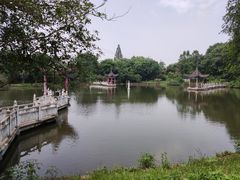 -青龙山国家森林公园
