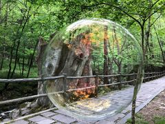 -牛背梁国家森林公园