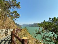 -羚羊峡古栈道森林公园