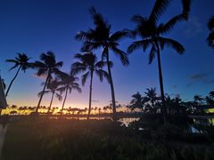 -希尔顿夏威夷度假村之希尔顿分时度假俱乐部套房酒店