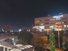 -台场海滨公园船码头
