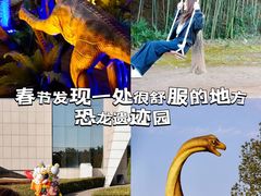 -中国西峡恐龙遗迹园