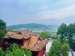 -铁山坪森林公园