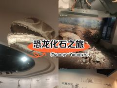 -自贡恐龙博物馆