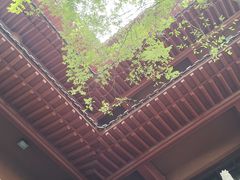 -郑州大观音寺