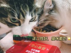 -汉堡王(徐汇绿地缤纷店)