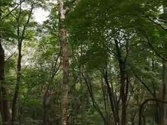 -帽儿山风景区