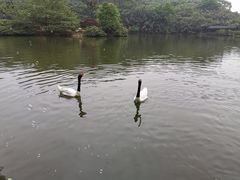 -杭州野生动物世界