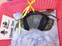 -龙海鲜螃蟹王(宏茂桥店)