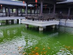 -江心屿景区