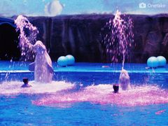 -华夏文旅海洋公园