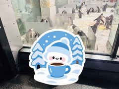 -大连圣亚海洋世界
